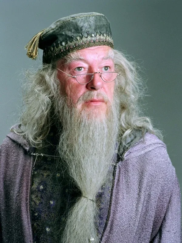Albus Dumbledore — Michael Gambon