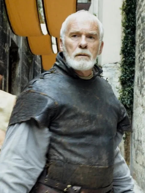 Barristan Selmy — Ian McElhinney