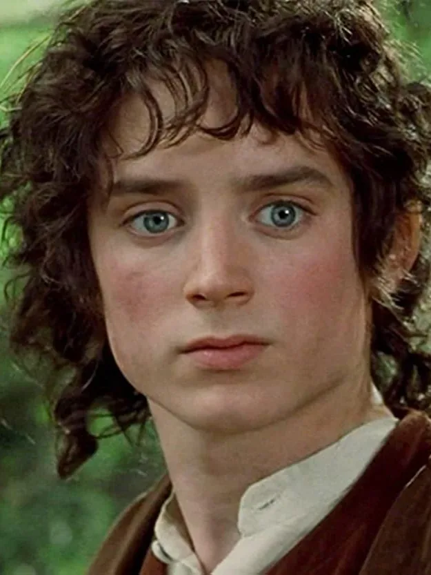 Frodo Baggins — Elijah Wood