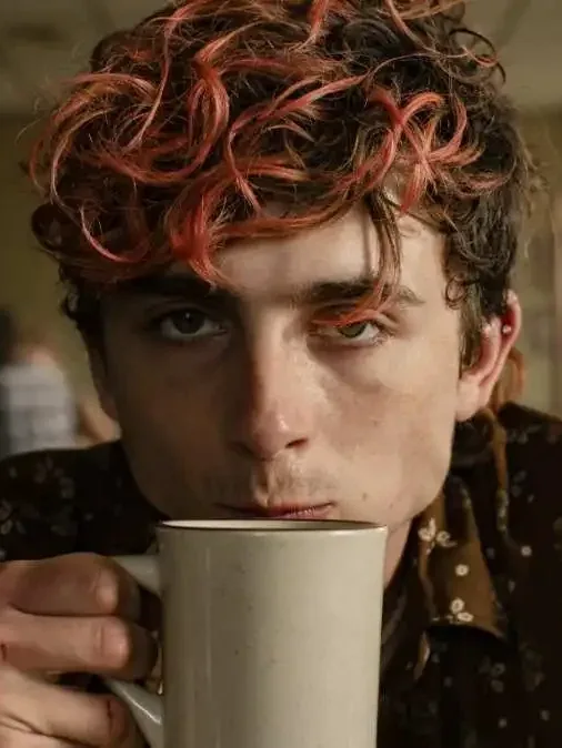 Lee — Timothée Chalamet