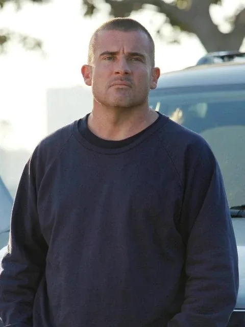 Lincoln Burrows — Dominic Purcell