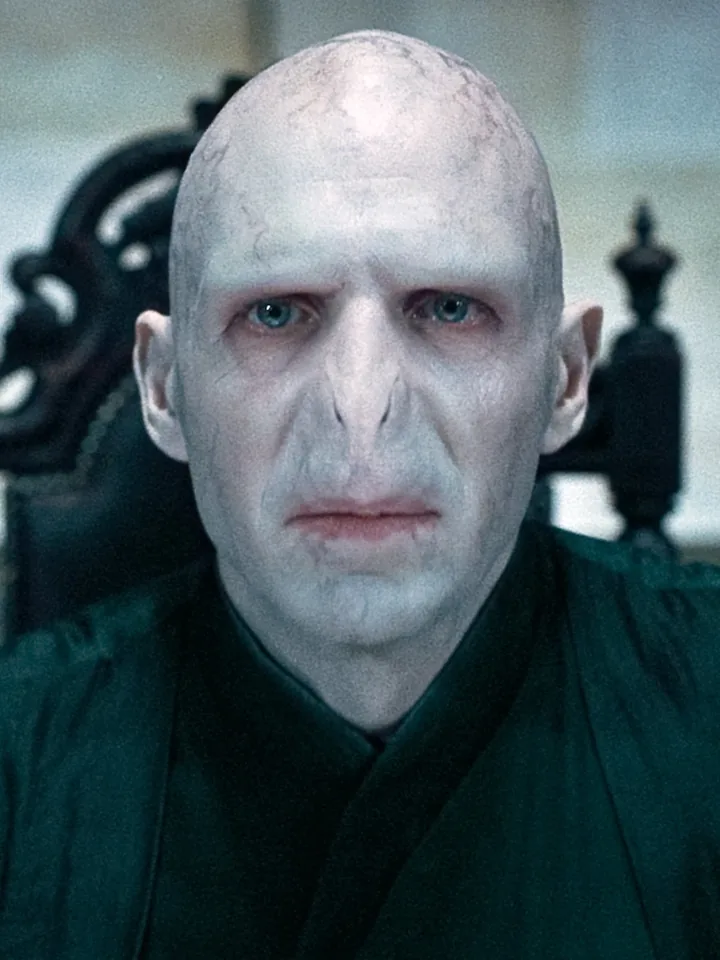 Lord Voldemort — Ralph Fiennes