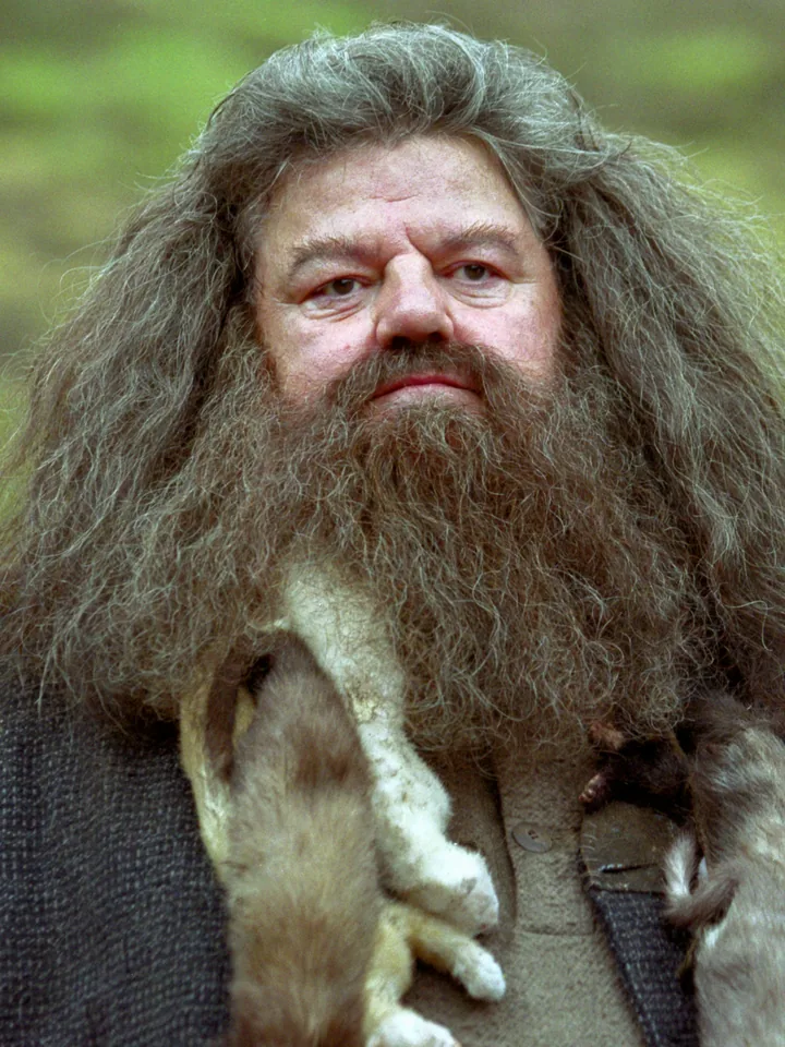 Rubeus Hagrid — Robbie Coltrane