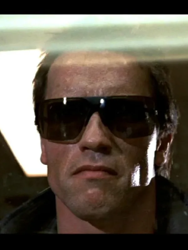 The Terminator — Arnold Schwarzenegger