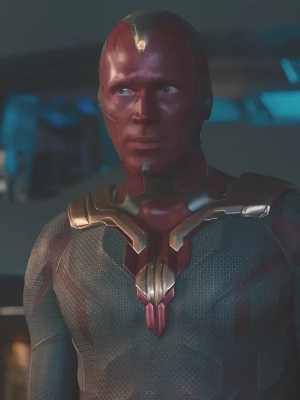 Vision — Paul Bettany